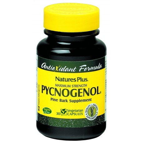 Pycnogenol 30 Caps Envase De 30 Capsulas