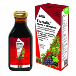 Floradix 250 Ml Jarabe 250 Ml