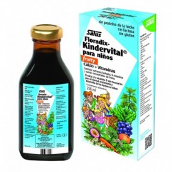 Floradix Kindervital Fruity 250 Ml 250 Ml