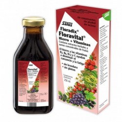 Floravital 250 Ml Jarabe 250 Ml - Sin Gluten Apto Para Celiacos