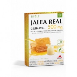 Bipole Jalea Real 500Mg 20 Ampollas