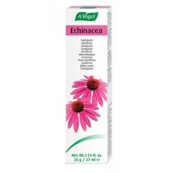 Dentaforce Echinacea