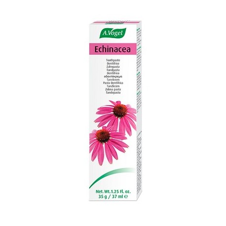 Dentaforce Echinacea