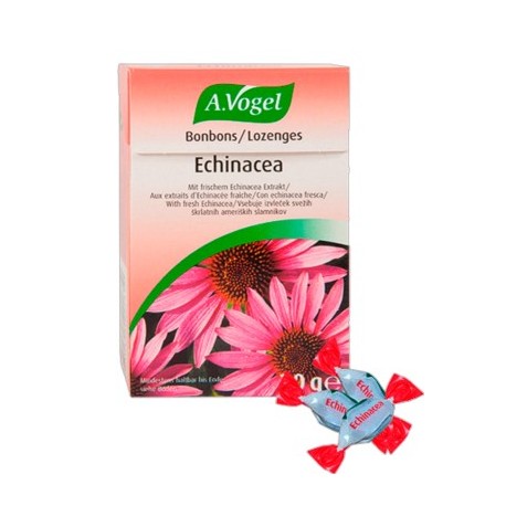 Echinacea Caramelos