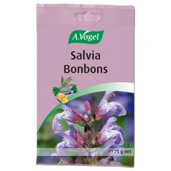 Salvia Bombons