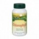 Chlorophyll 90 Comprimidos