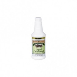 Chlorophyll Liquid 480 Ml 