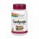 Cordyceps Extracto 500 Mg 60 Cápsulas Vegetales