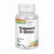 Nutritionally Balanced B Stress  100 Cápsulas Vegetales