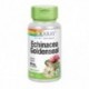 Echinacea Root & Golden Seal Root 500 Mg  100 Cápsulas Vegetales