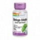 Ginkgo Biloba 60 Mg De 60 Cápsulas Vegetales