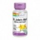 St Johns Wort 60 Cápsulas Vegetales