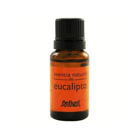 Eucalipto, Aceite esencial