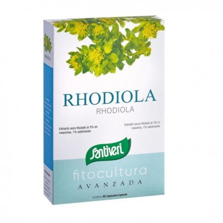 Rhodiola (Cápsulas)