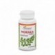 Moringa Forte 60 Capulas