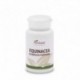 Equinacea 100 Comprimidos 400 Mg 100 Comp.