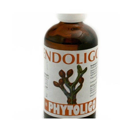 Endoligo 100 Ml